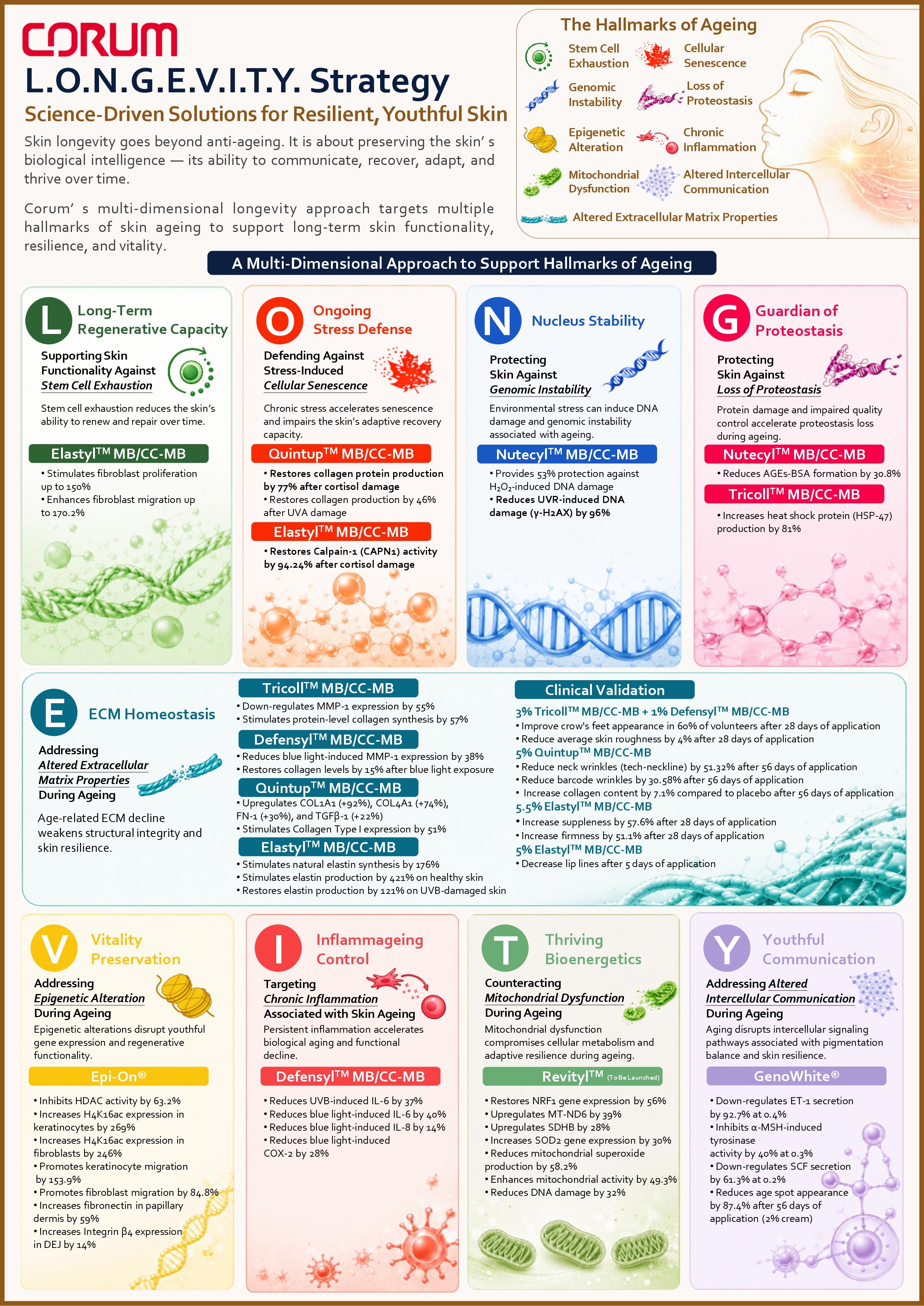 CORUM's L.O.N.G.E.V.I.T.Y. Strategy Infographic - A4 - V5-p1.jpg