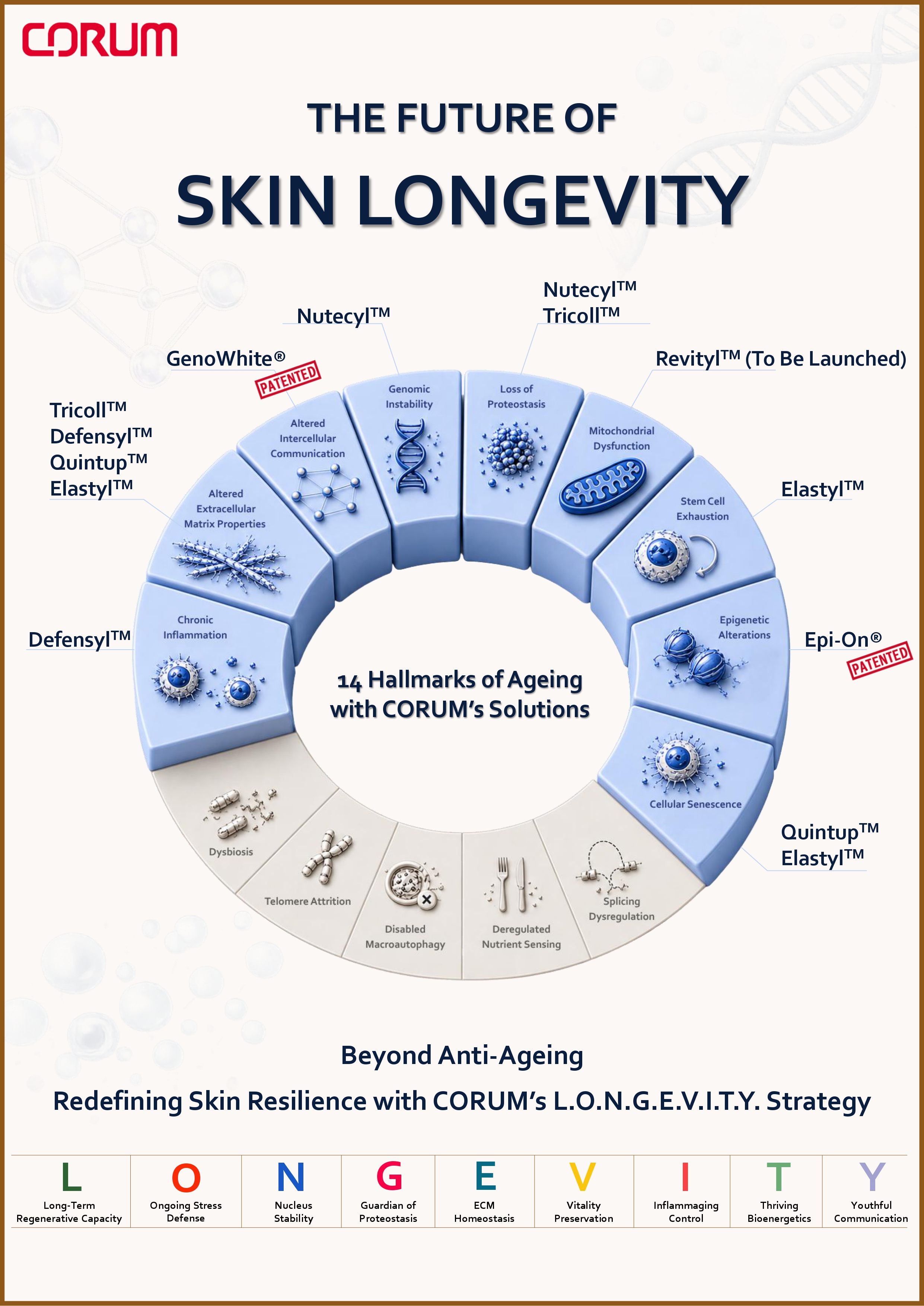 CORUM's L.O.N.G.E.V.I.T.Y. Strategy Infographic - A4 - V5-p2.jpg